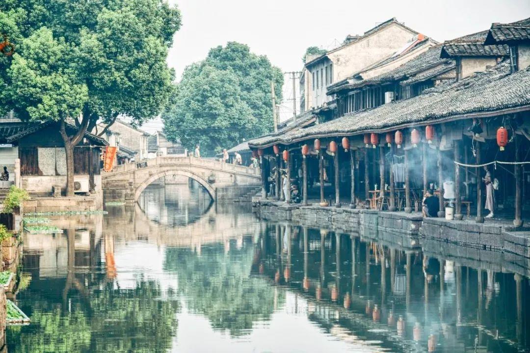 腊八蒜变绿窍门游戏画面
